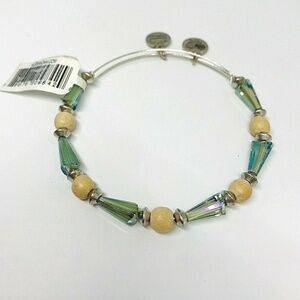 Alex and Ani Seeds of Promise Milkweed Bracelet A15EB31RS